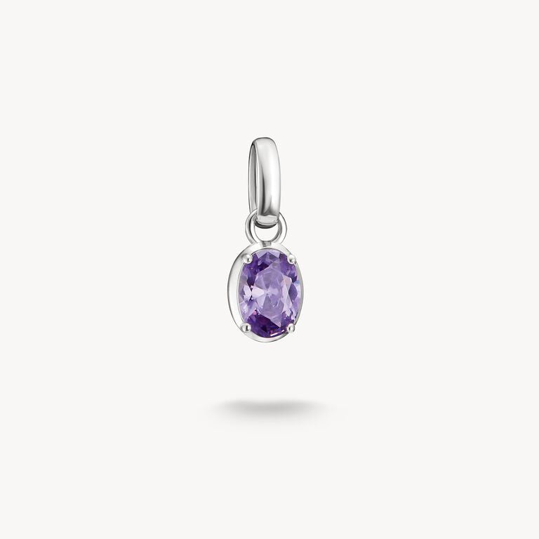 Thomas Sabo Silver Charm Pendant Birthstone February Connect CC1330-051-13