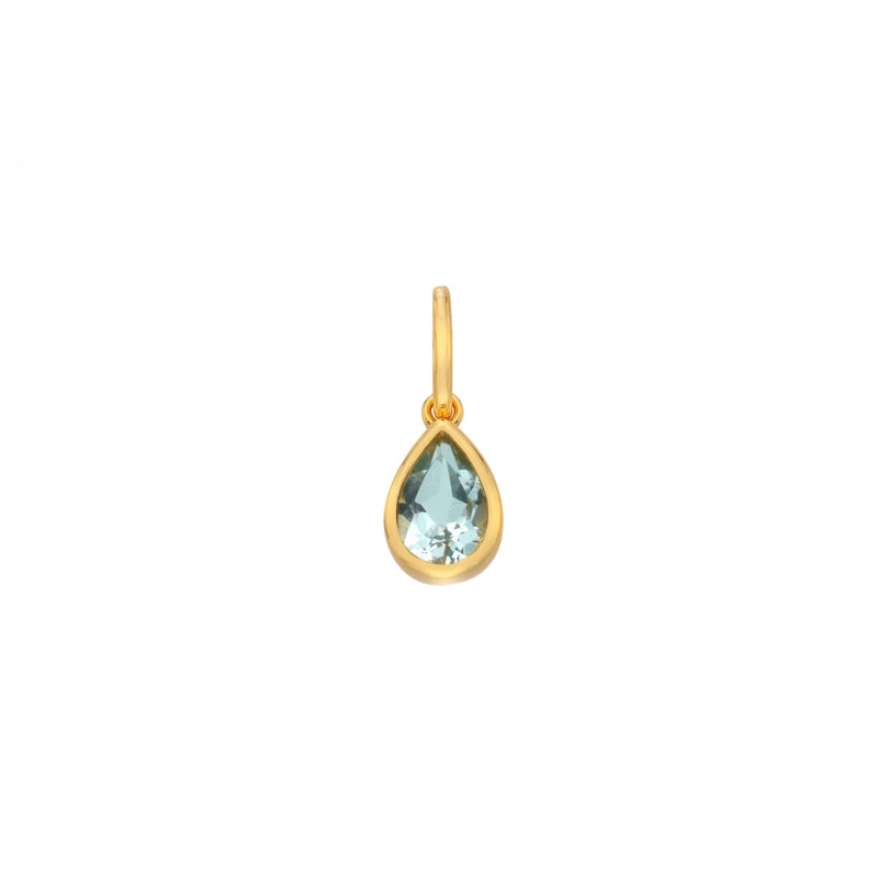 Hot Diamonds YGP December Birthstone Charm DP996