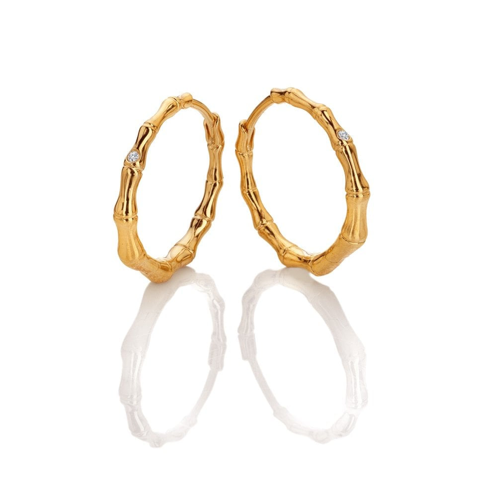 Hot Diamonds x GE Bondi Earrings DE842