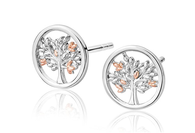 Clogau Tree of Life Stud Earrings 3SNTLCSE