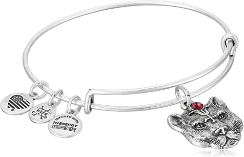 ALEX AND ANI Path Of Symbols Wild Heart Bangle A17EBWHRS