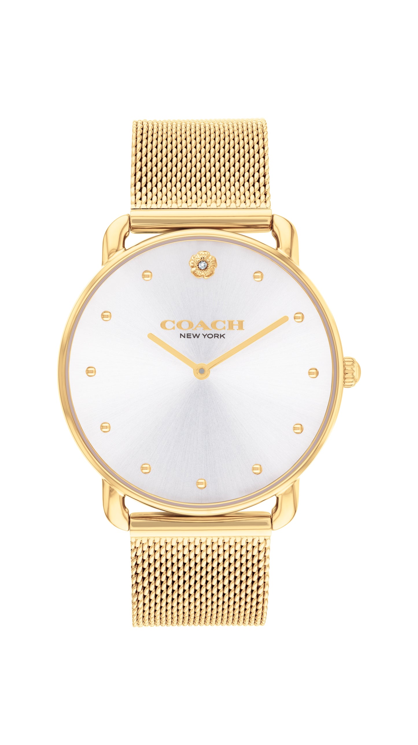 COACH Elliot 36mm Ladies Watch 14504208