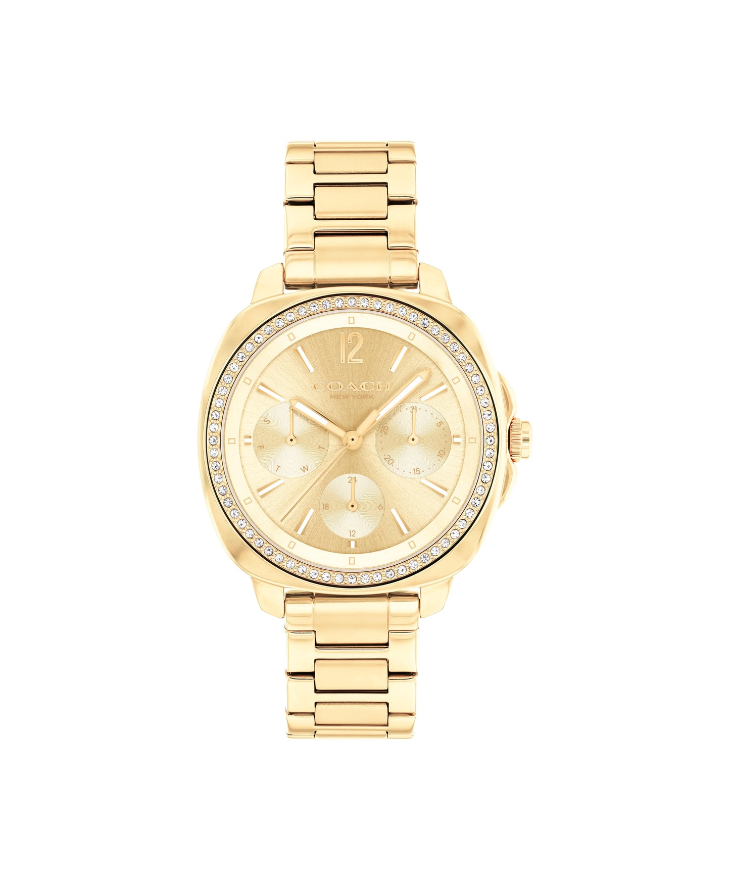 COACH Kitt Chronograph 34mm Watch 14504393