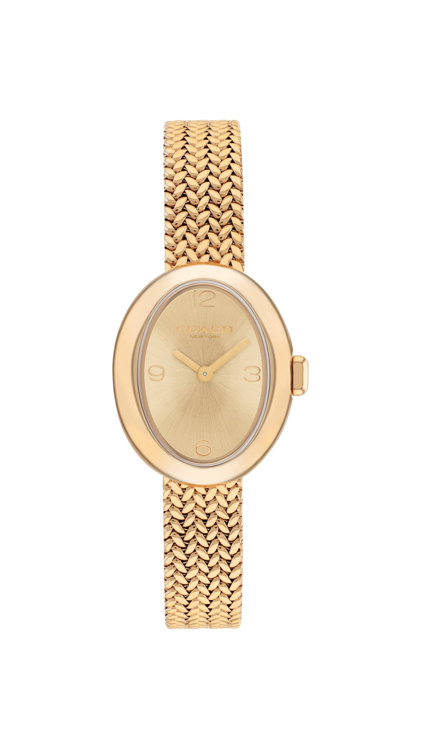 COACH Sammy 22mm Yellow Gold Tone Ladies Watch 14504567