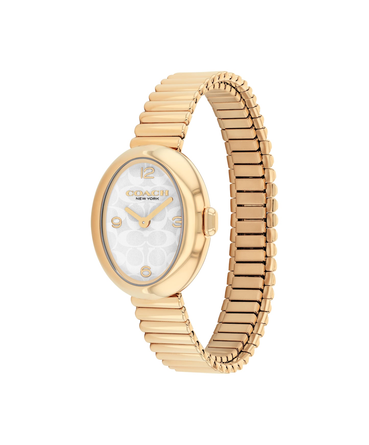 COACH Sammy 22mm Yellow Gold Tone Ladies Watch 14504573