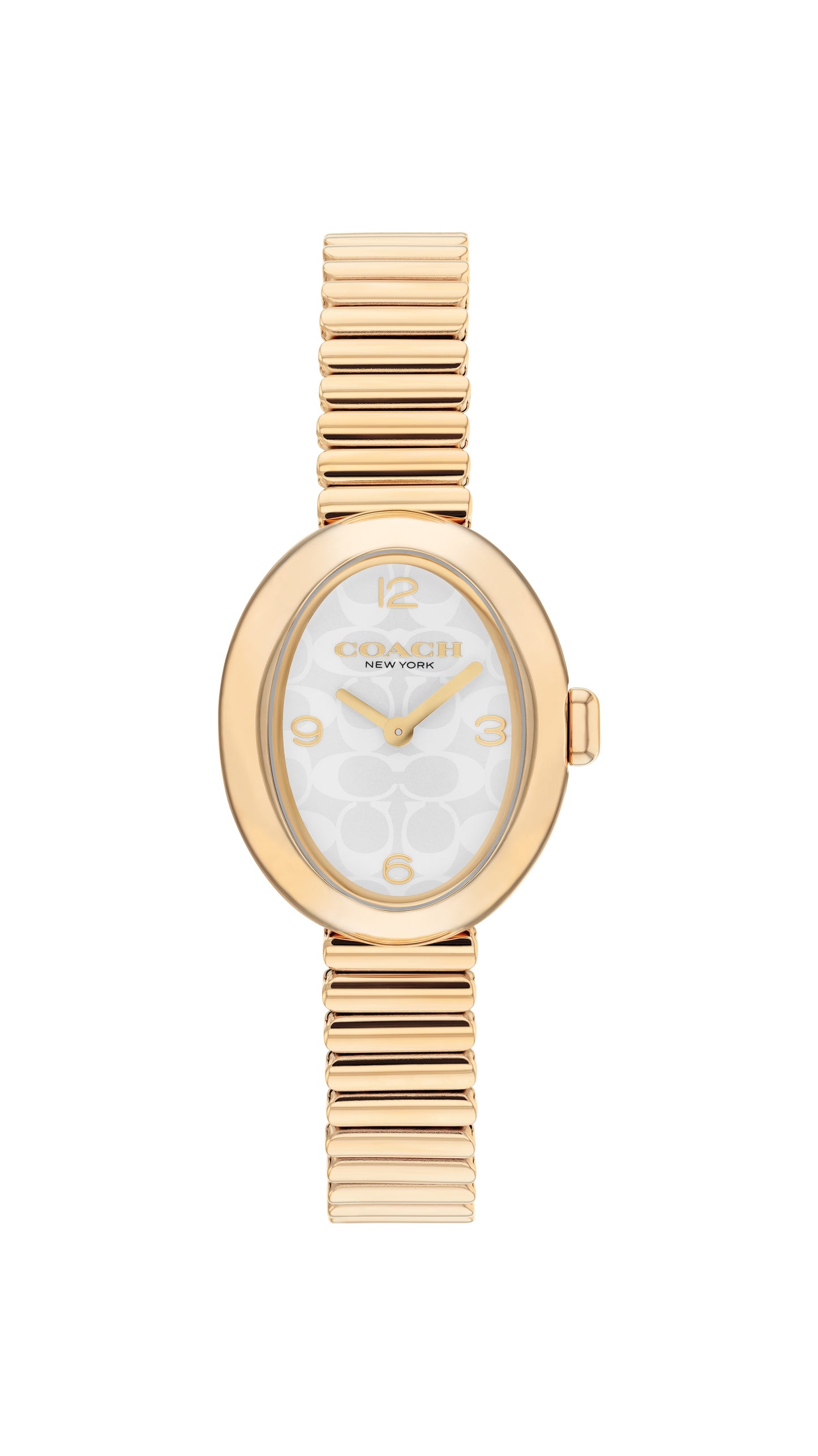 COACH Sammy 22mm Yellow Gold Tone Ladies Watch 14504573