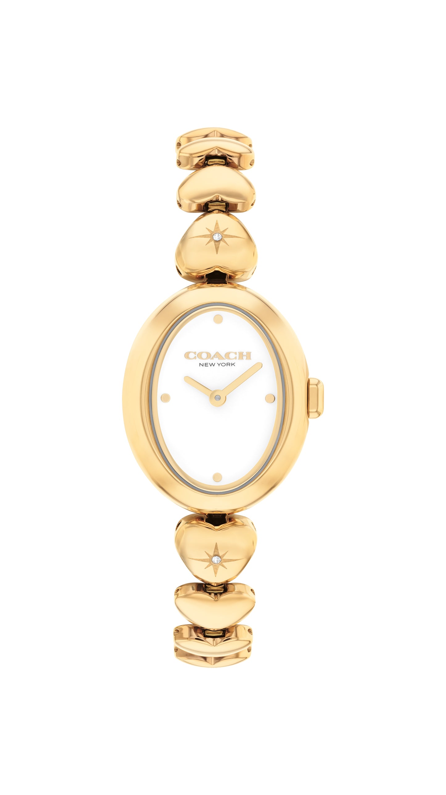 COACH Sammy Gold Tone Watch 14504638