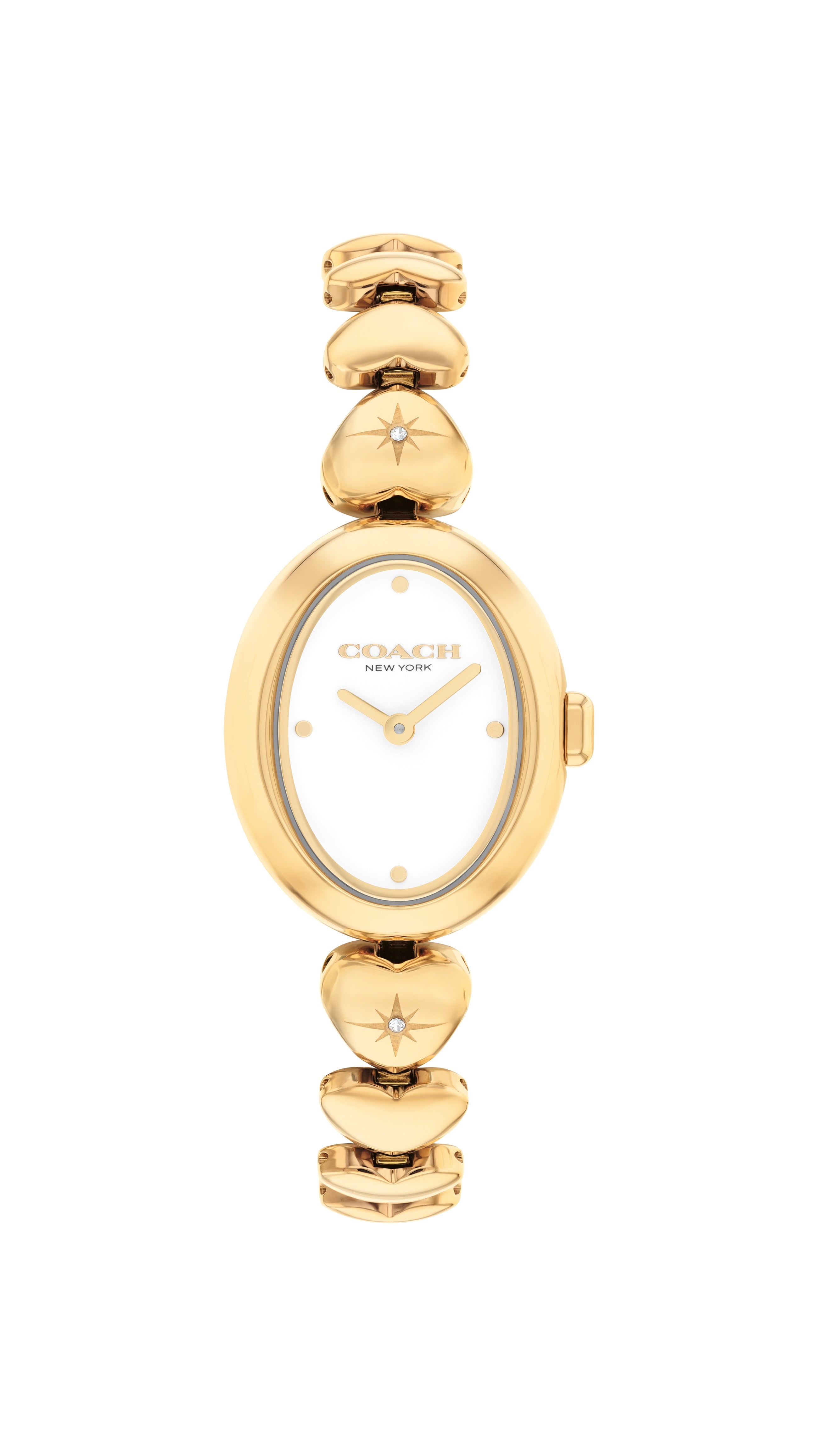 COACH Sammy Gold Tone Watch 14504638