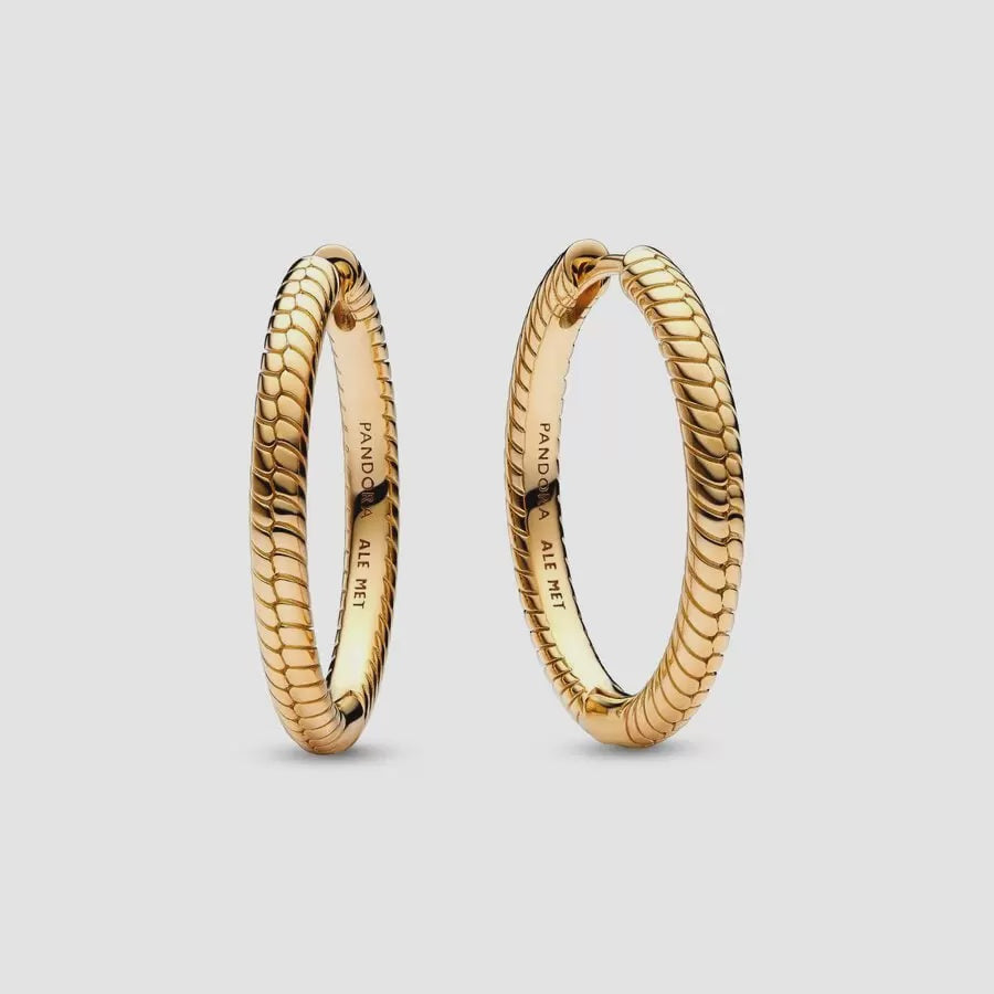PANDORA PANDORA Moments Charm Hoop Earrings 269532C00