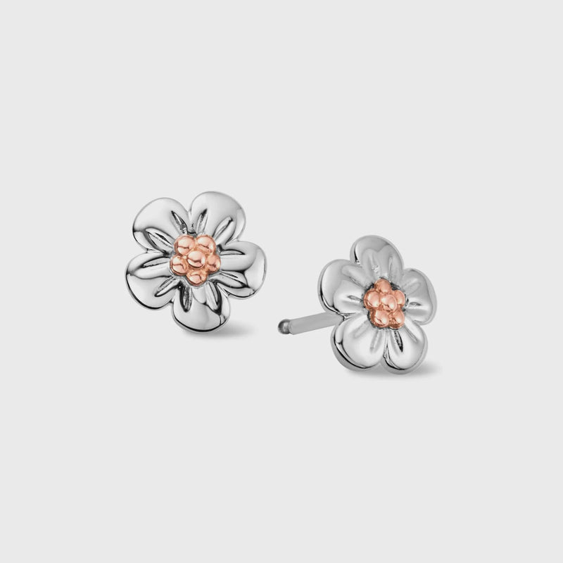 Clogau Forget Me Not Silver Stud Earrings 3SFMN0621