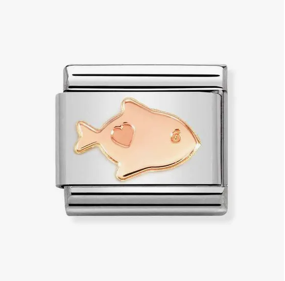 NOMINATION RG Fish 430104-52