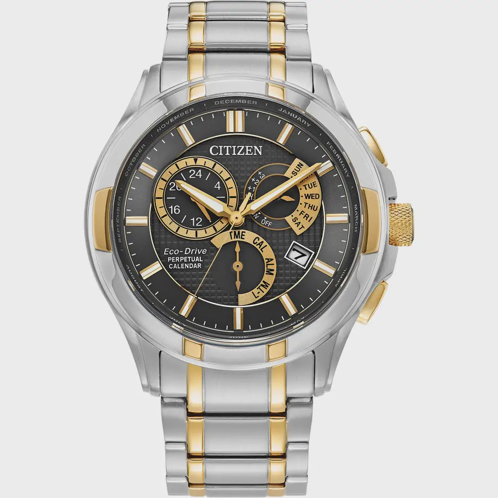 Citizen Two Tone Classic 8700 AT2434-54E