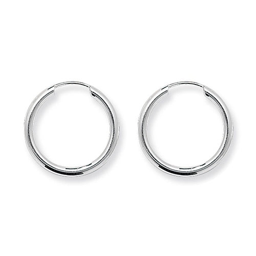 Silver 20mm Sleeper Earrings G5541