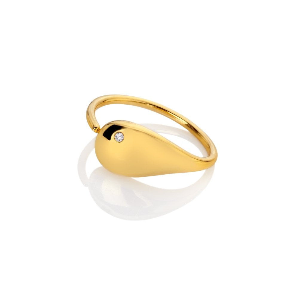 Hot Diamonds HD x JJ Tide Ring DR282