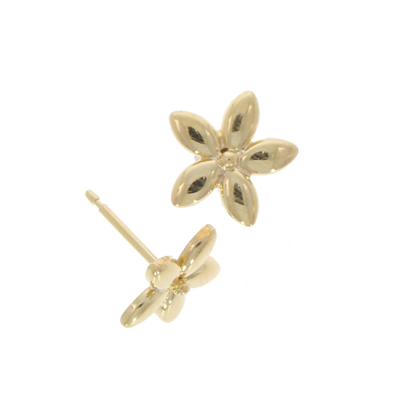 9ct Gold Earrings 10-01-313