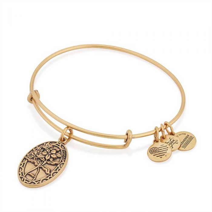 ALEX AND ANI Friend Charm Bangle A16EB13RG