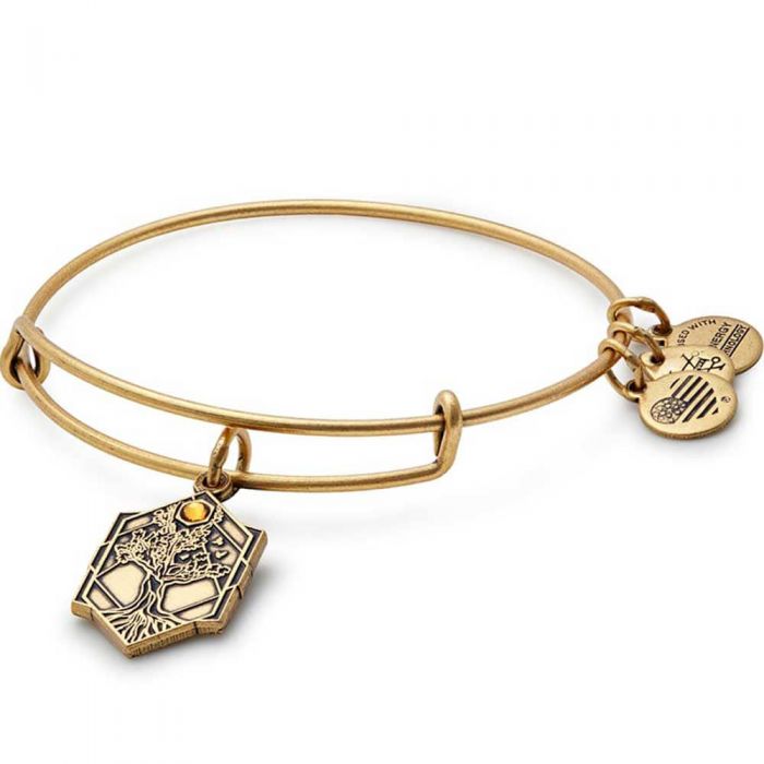 ALEX AND ANI Path Of Symbols Tree Of Life Bangle A17EBTOLRG