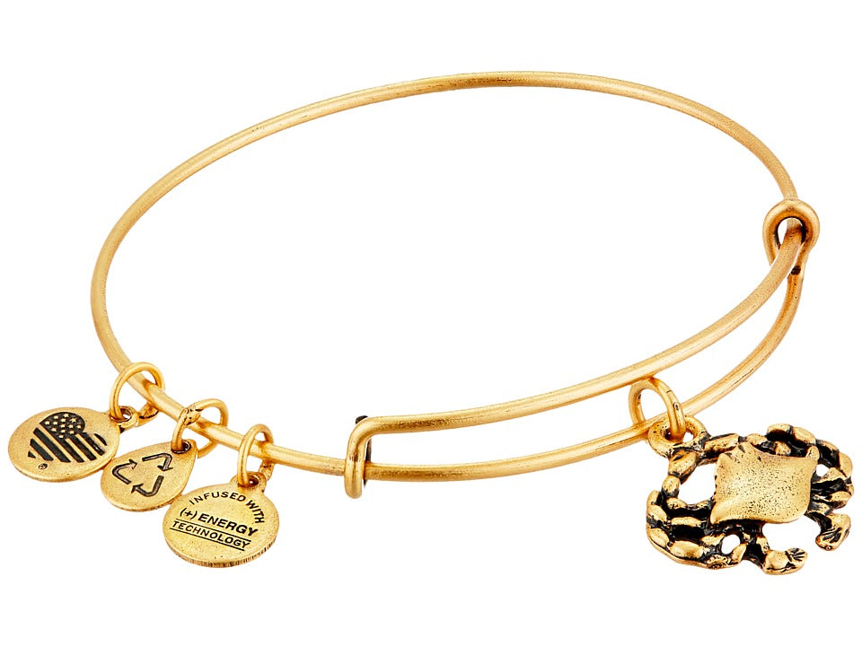 ALEX AND ANI Bangle Bar Rafaelian Gold Tone Crab Expandable Bracelet A09EB173RG