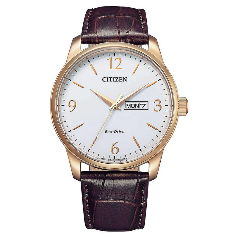 Citizen Eco-Drive Watch Day/Date Watch BM8553-16A