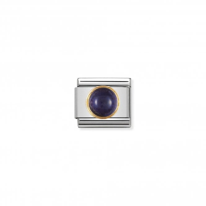 NOMINATION Composable Classic Round Gold Iolite Link 030505/04