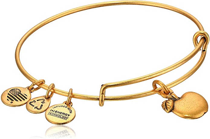ALEX AND ANI Apple Of Abundance Charm Bangle A12EB13RG