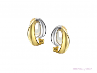 Silver Two Tone Earrings