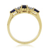 9ct Gold Sapphire & Diamond Ring DSR694