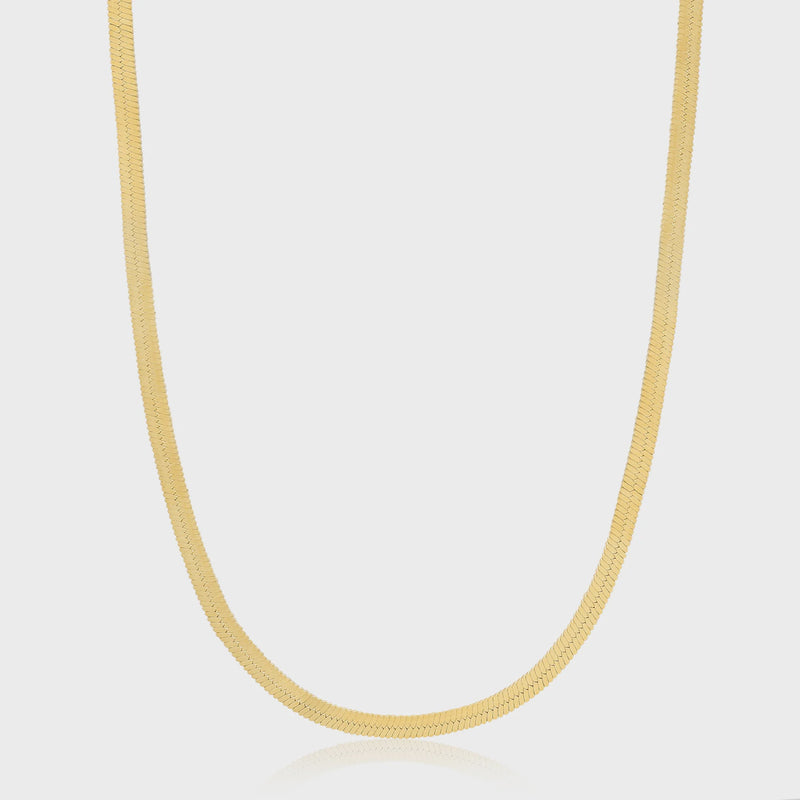 ANIA HAIE Gold Flat Snake Chain Necklace N046-01G