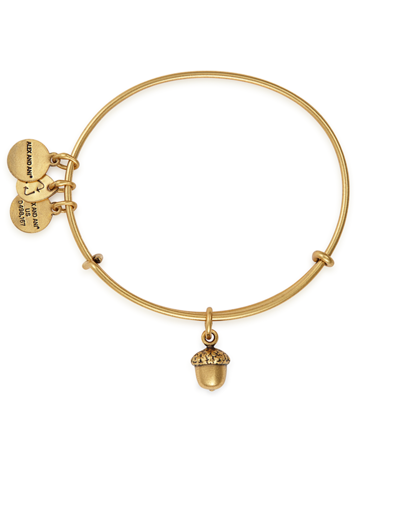 ALEX AND ANI Path Of Symbols Unexpected Blessings Bangle A17EBUBRG