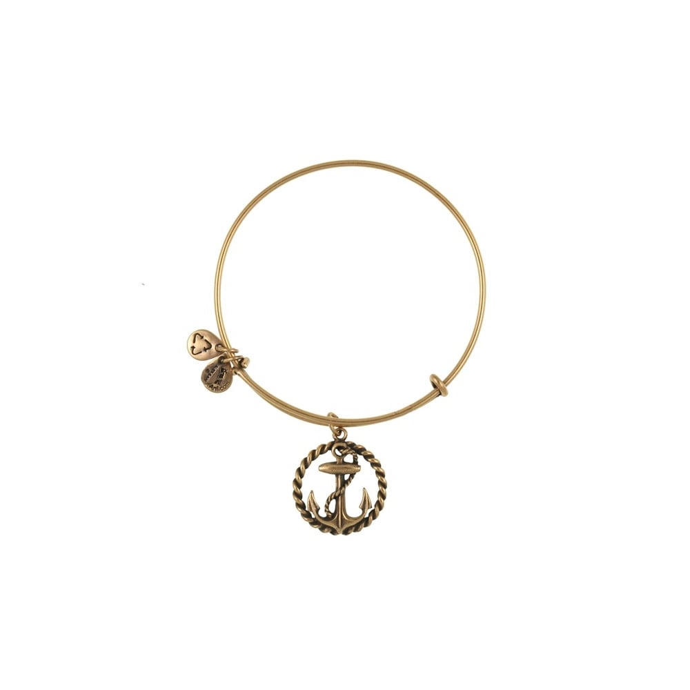 Alex and Ani Nautical Gold Bangle A09EB169RG