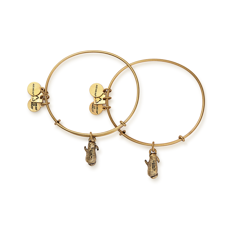 ALEX AND ANI Charity By Design Side By Side Rafaelian Gold Bangle Set CBD15SBSRG
