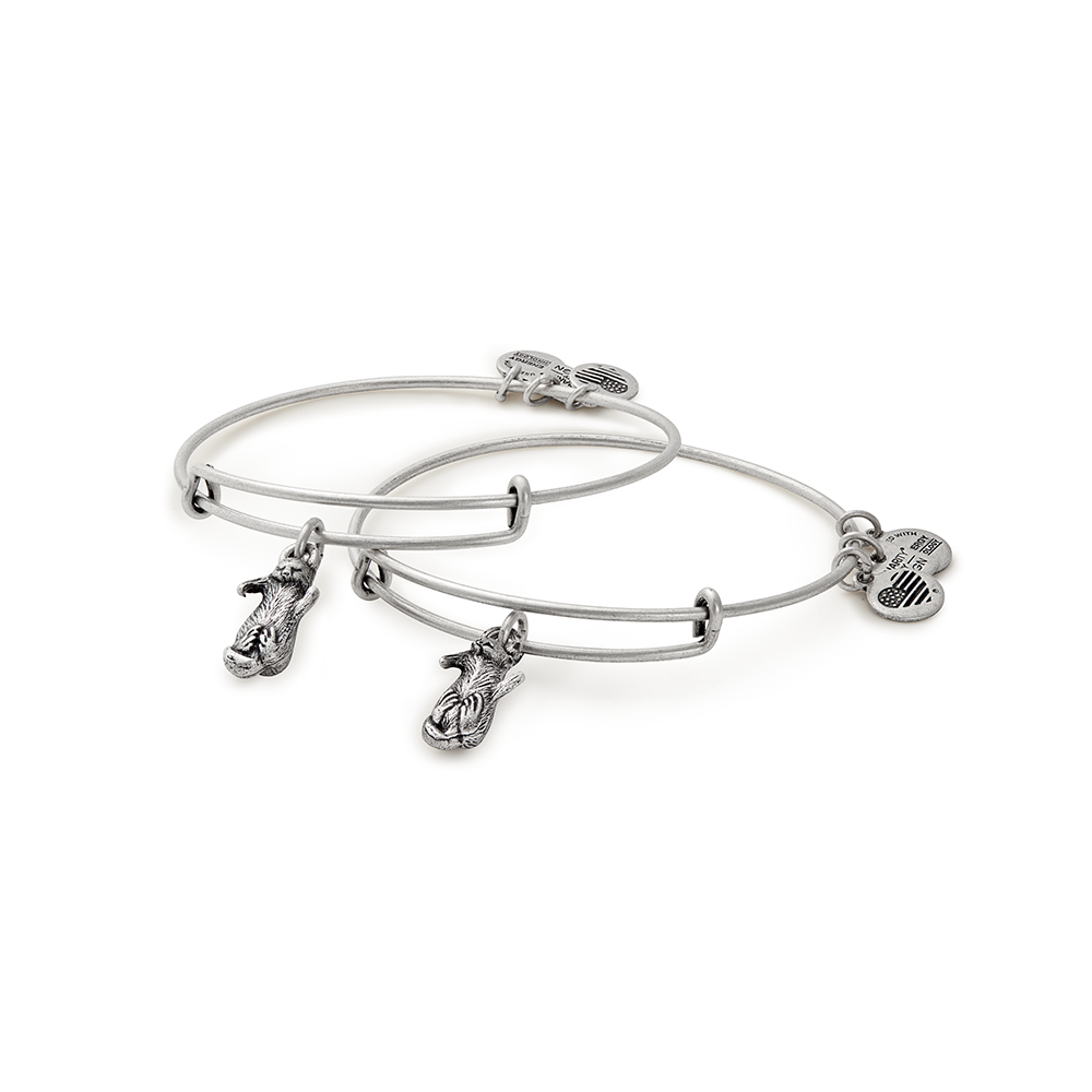 ALEX AND ANI Charity By Design Side By Side Rafaelian Silver Bangle Set CBD15SBSRS