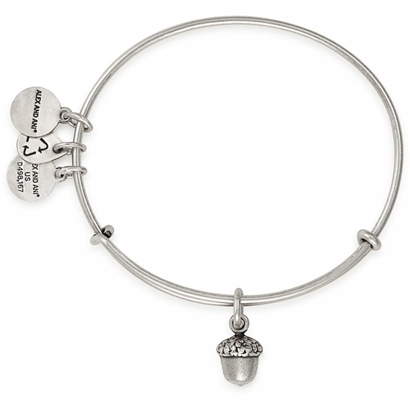 ALEX AND ANI Path Of Symbols Unexpected Blessings Bangle A17EBUBRS
