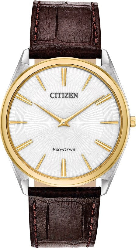 Citizen Eco-Drive Watch:AR3074-03A