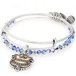 ALEX AND ANI Silver Ravenclaw Motto Bangle Set AS18HP48TTRS