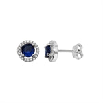 Blue Cubic Zirconia Earrings - CZ